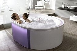 Hoesch Badewanne mit Whirlsystem